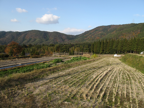 20131124hike (449)